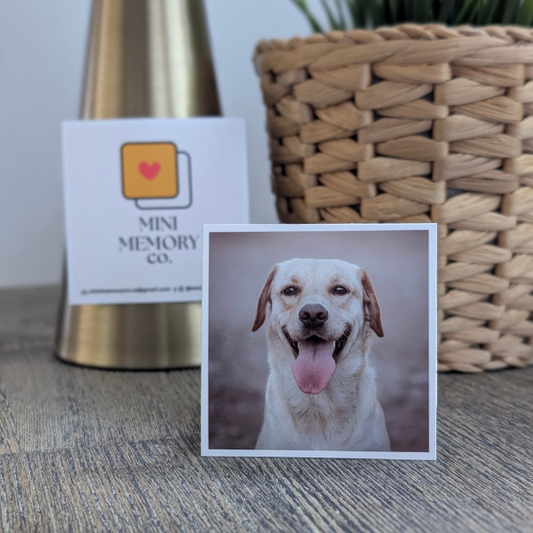 Mini Memory Co. Digital Gift Card